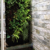 Sử dụng greenwall như một giải pháp tạo mảng xanh mát theo chiều đứng đơn giản, hiệu quả và linh động khi điều kiện thực tế ít diện tích trồng cây dàn trải