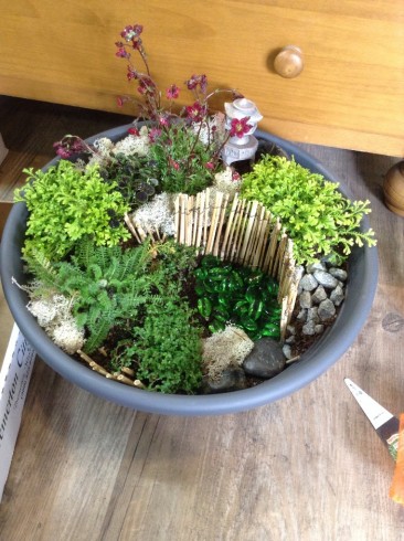 NT-tin-140715-vuon-mini (4) NT tin 140715 vuon mini 4