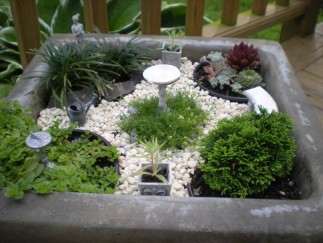 NT-tin-140715-vuon-mini (5) NT tin 140715 vuon mini 5