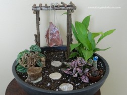 NT-tin-140715-vuon-mini (7) NT tin 140715 vuon mini 7