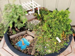 NT-tin-140715-vuon-mini (9) NT tin 140715 vuon mini 9