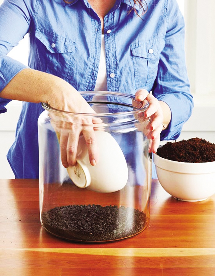 NT253_Nhavavuon011016_Trong-terrarium