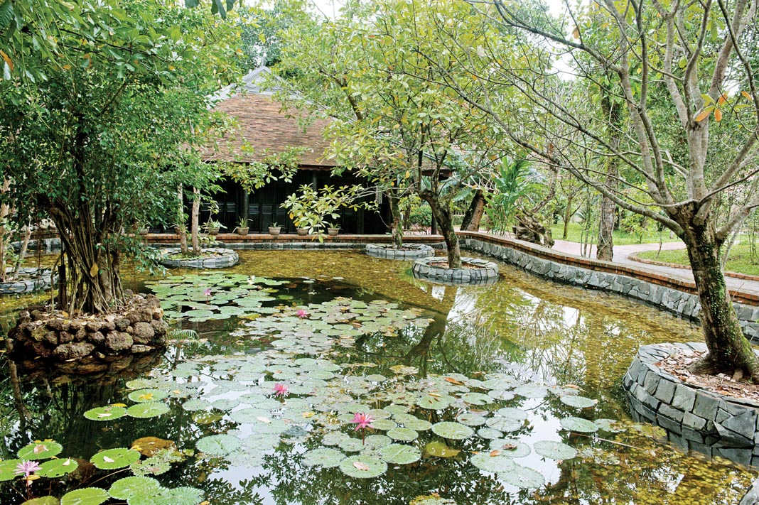 trong-vuon-boi-tran-kgsong-180-2013-4
