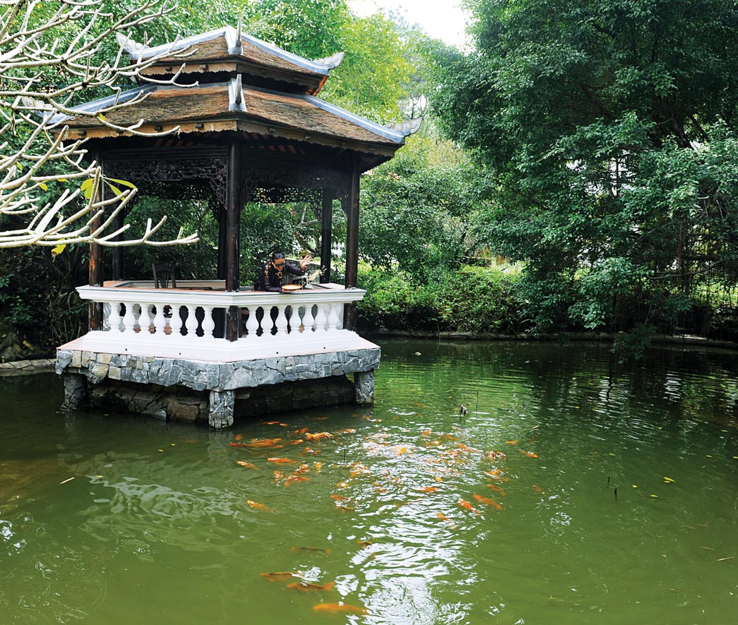 trong-vuon-boi-tran-kgsong-180-2013-5