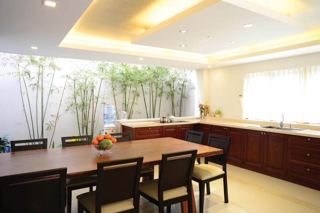 xanh-hoa-nha-huong-tay-giai-phap-227-2015-11